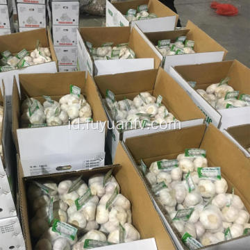 2018 jual panas putih bawang putih bersih normal